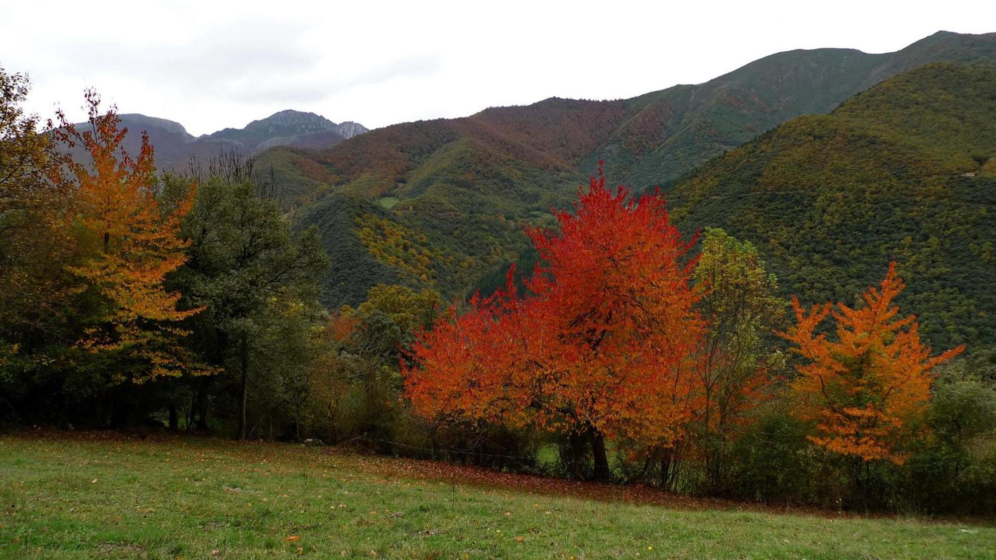 罗斯拉瑞斯乡村民宿 Lerones 外观 照片